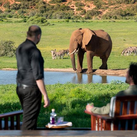 Gorah Elephant Camp อัดโด ภายนอก รูปภาพ