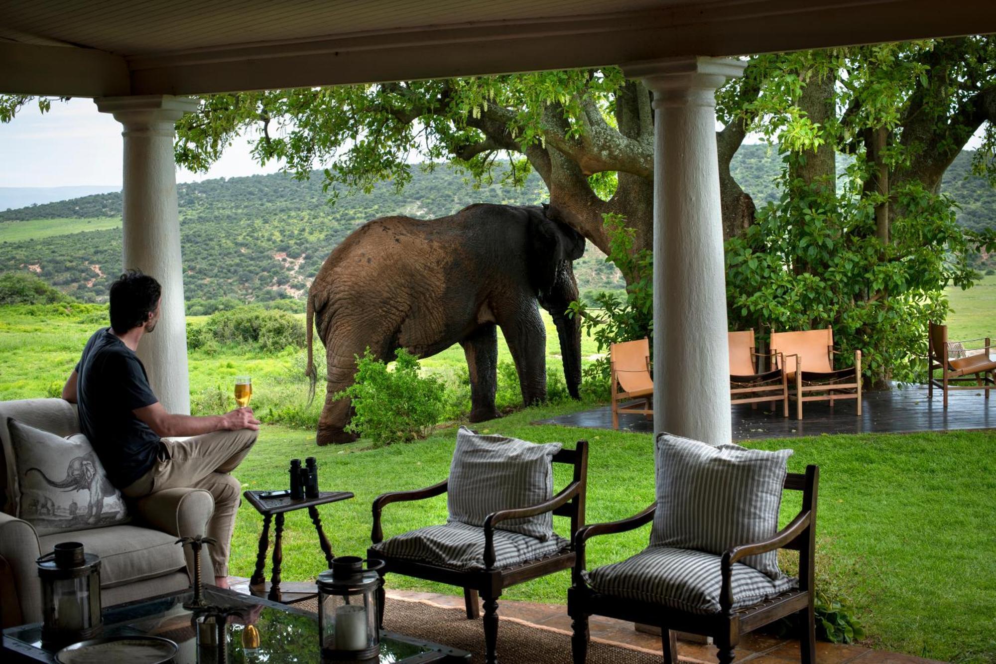Gorah Elephant Camp อัดโด ภายนอก รูปภาพ