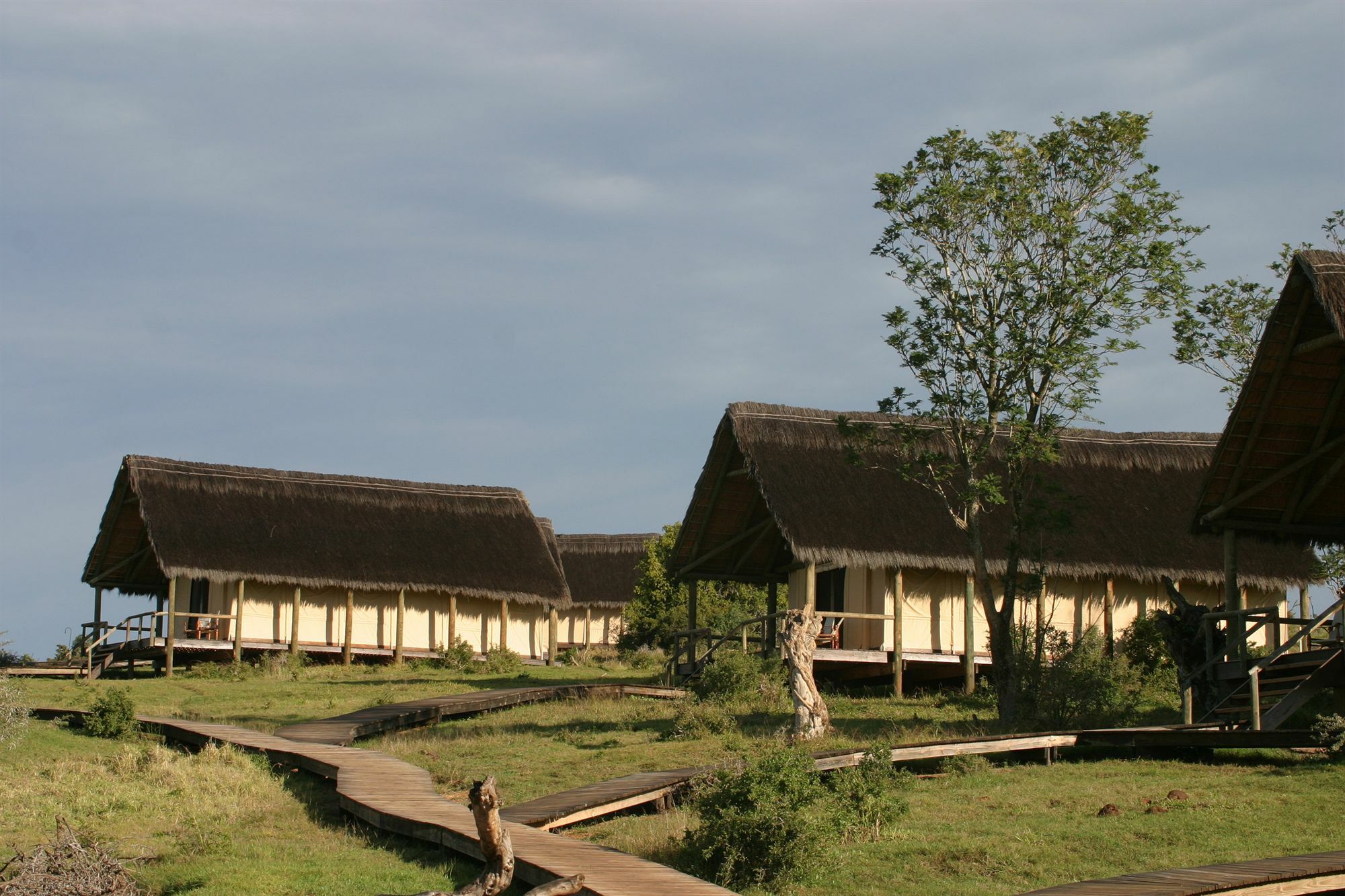 Gorah Elephant Camp อัดโด ภายนอก รูปภาพ